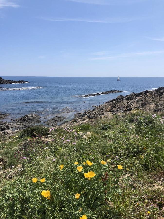 Beachfront Duplex With Terrace And Sea Views - Cadaques Luaran gambar