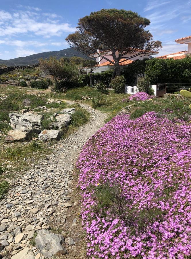 Beachfront Duplex With Terrace And Sea Views - Cadaques Luaran gambar